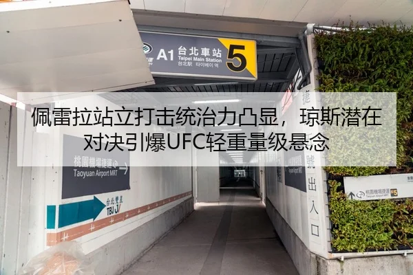 佩雷拉站立打击统治力凸显，琼斯潜在对决引爆UFC轻重量级悬念
