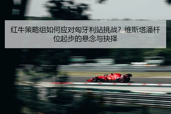 hong-niu-ce-lve-zu-ru-he-ying-dui-xiong-ya-li-zhan-tiao-zhan-wei-si-ta-pan-gan-wei-qi-bu-de-xuan-nian-yu-jue-ze-2-267.jpg