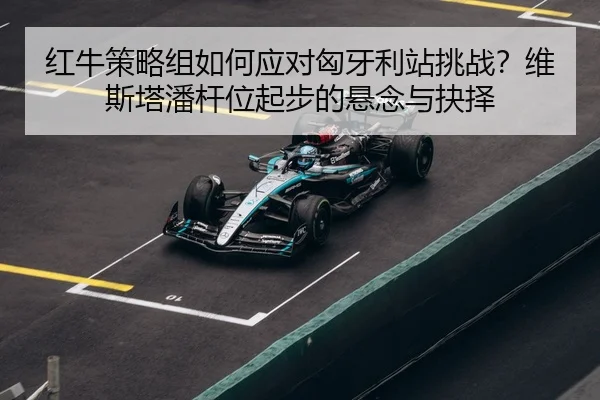 hong-niu-ce-lve-zu-ru-he-ying-dui-xiong-ya-li-zhan-tiao-zhan-wei-si-ta-pan-gan-wei-qi-bu-de-xuan-nian-yu-jue-ze-3-690.jpg