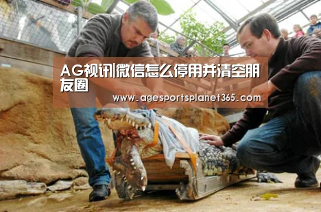AG视讯|微信怎么停用并清空朋友圈(图1) AG官网
