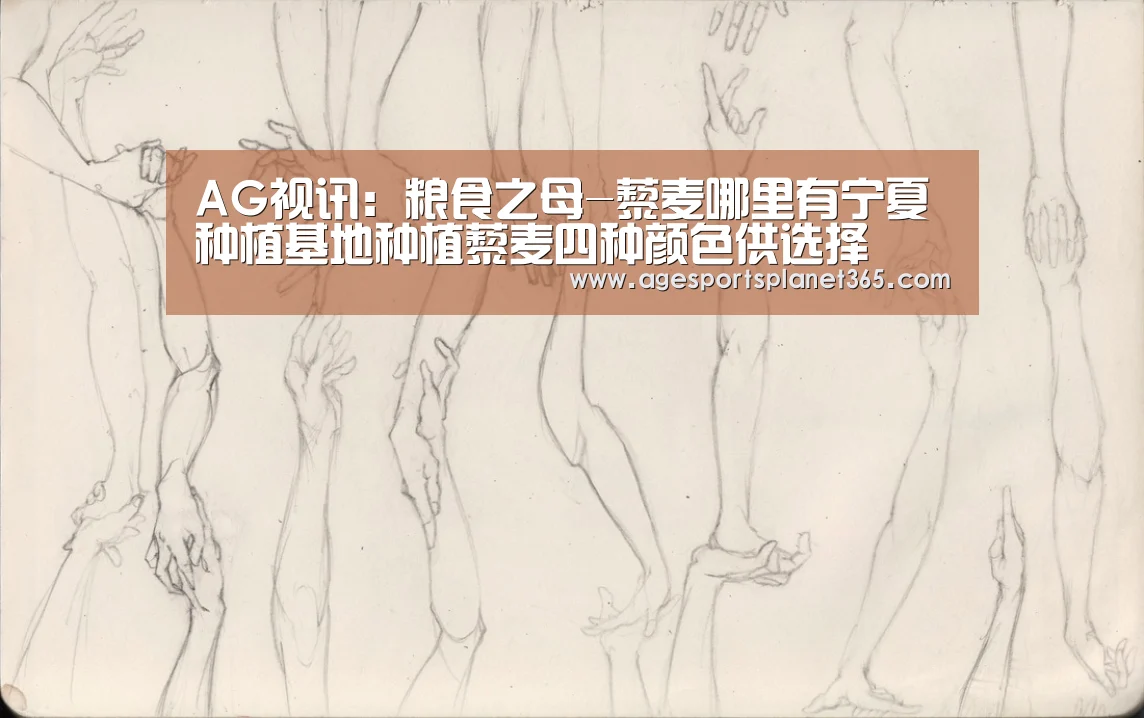 AG足球