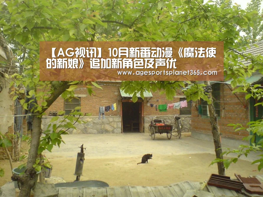 AG下载